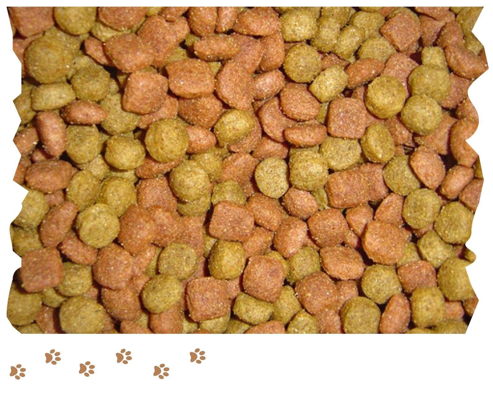 How Much Protein in Dog Food
