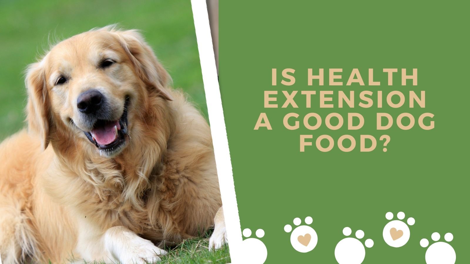 Is Health Extension a Good Dog Food
