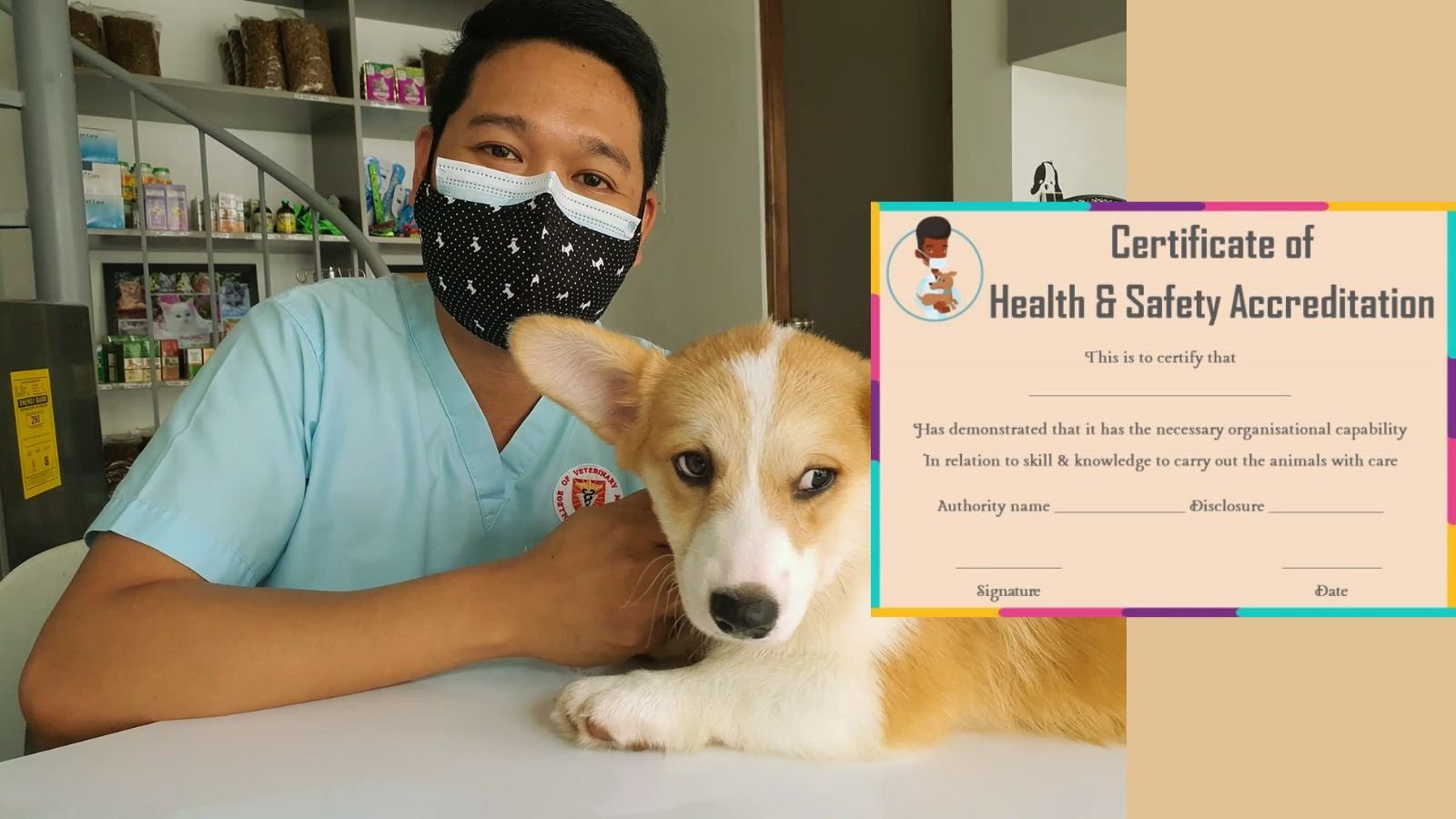 What is a Health Certificate for Dogs