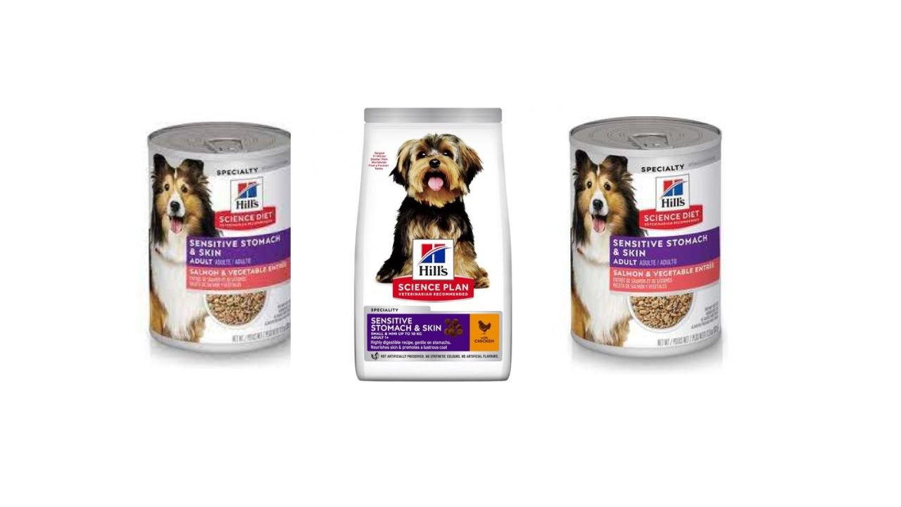 Dog Food for Sensitive Stomach Puppy