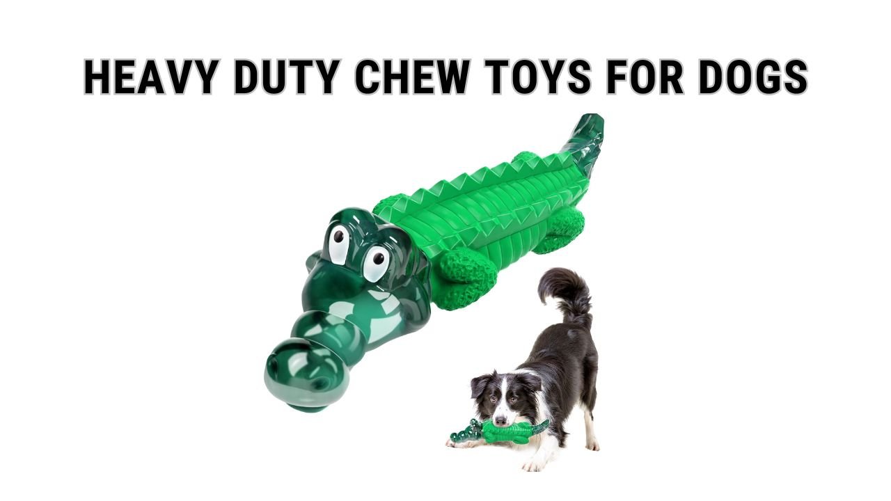 Heavy Duty Chew Toys for Dogs