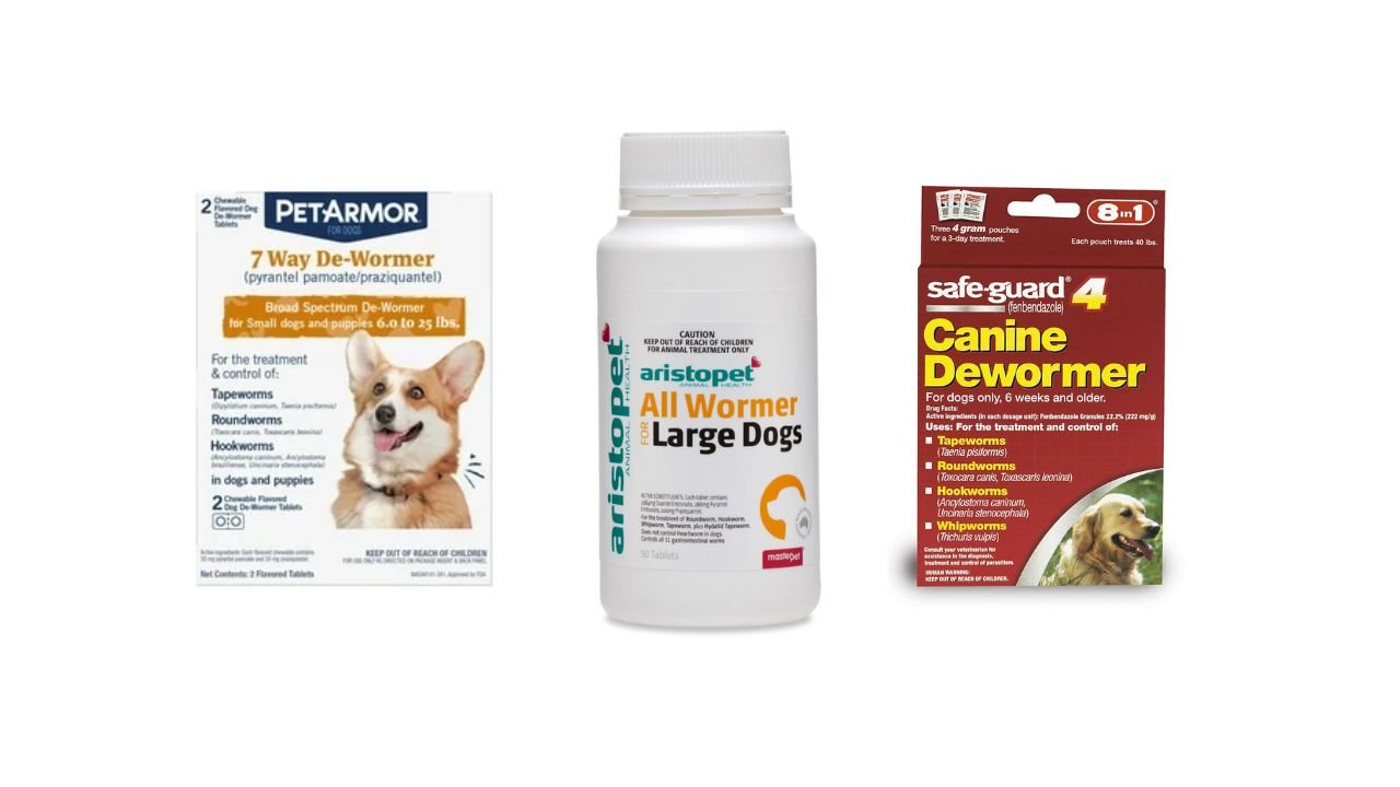 Worming Medicine for Dogs