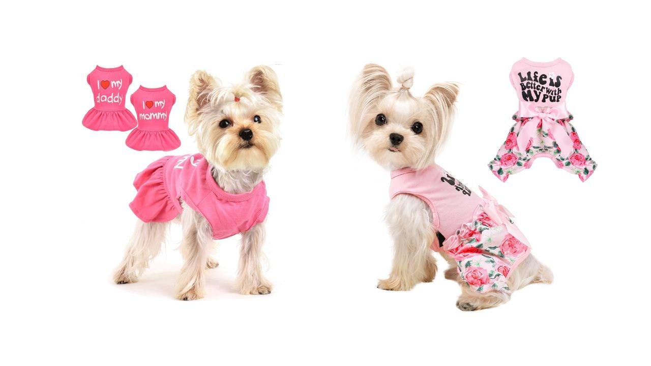 Xsmall Dog Clothes