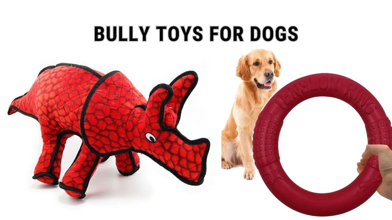 bully toys for dogs